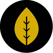 Piktogramm vegan Piktogramm vegan